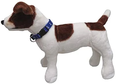 A kutyád Real Madrid nyakörve - S