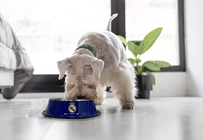 Real Madrid háziállat etetőtál