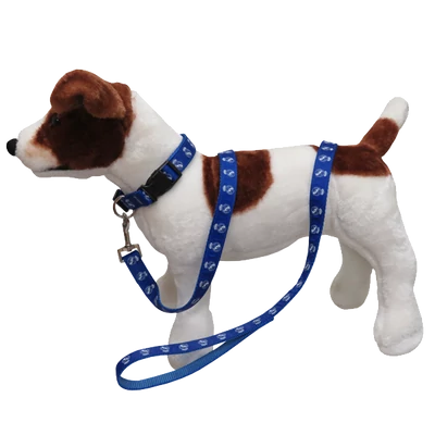 A kutyád Real Madrid póráza