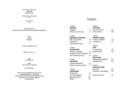 Benzema - Árnyékból a fényre